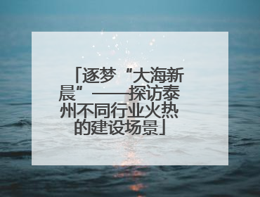 逐梦“大海新晨”——探访泰州不同行业火热的建设场景