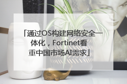 通过OS构建网络安全一体化，Fortinet看重中国市场AI需求