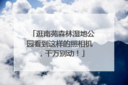 逛南苑森林湿地公园看到这样的照相机，千万别动！