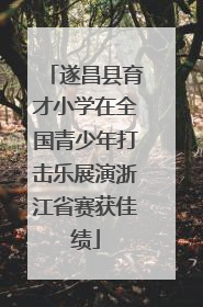 遂昌县育才小学在全国青少年打击乐展演浙江省赛获佳绩