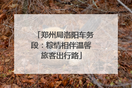 郑州局洛阳车务段：粽情相伴温馨旅客出行路