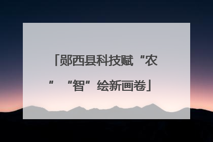 郧西县科技赋“农”“智”绘新画卷