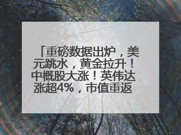 重磅数据出炉，美元跳水，黄金拉升！中概股大涨！英伟达涨超4%，市值重返全球第一！黄仁勋计划出售至多600万股股票