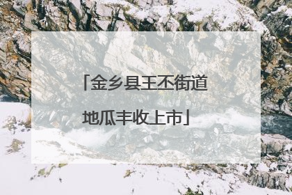 金乡县王丕街道地瓜丰收上市