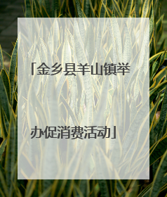 金乡县羊山镇举办促消费活动