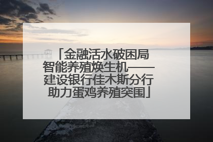 金融活水破困局 智能养殖焕生机——建设银行佳木斯分行助力蛋鸡养殖突围