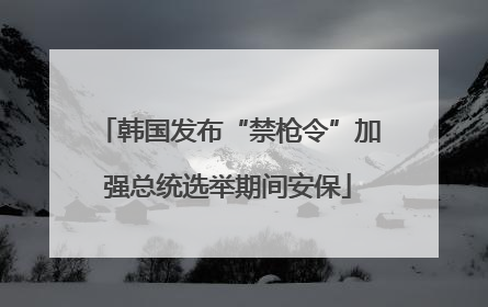 韩国发布“禁枪令”加强总统选举期间安保