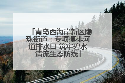 青岛西海岸新区隐珠街道：专项摸排河道排水口 筑牢碧水清流生态防线