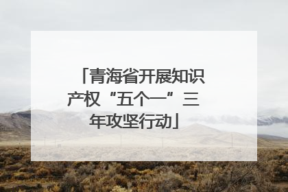 青海省开展知识产权“五个一”三年攻坚行动