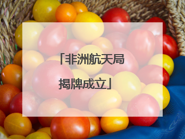 非洲航天局揭牌成立