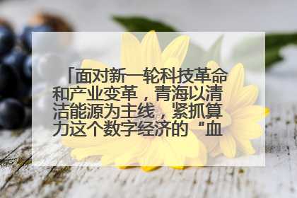 面对新一轮科技革命和产业变革，青海以清洁能源为主线，紧抓算力这个数字经济的“血液”、科技主权的“筹码”、产业升级的“杠杆”、绿色转型的“支点”，勇于撬动国家“双碳”战略、“东数西算”工程重大发展新机遇