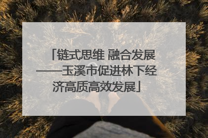链式思维 融合发展——玉溪市促进林下经济高质高效发展