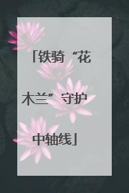 铁骑“花木兰”守护中轴线