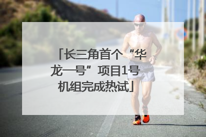 长三角首个“华龙一号”项目1号机组完成热试