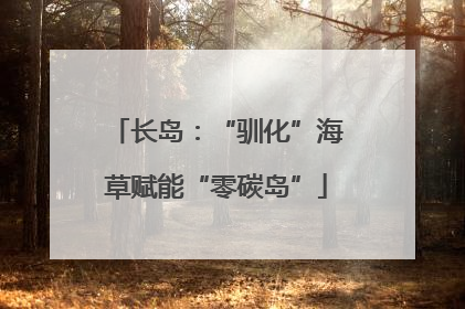 长岛：“驯化”海草赋能“零碳岛”