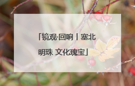 镜观·回响丨塞北明珠 文化瑰宝