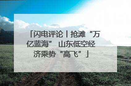 闪电评论丨抢滩“万亿蓝海” 山东低空经济乘势“高飞”