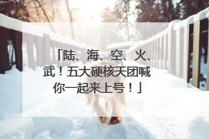陆、海、空、火、武！五大硬核天团喊你一起来上号！