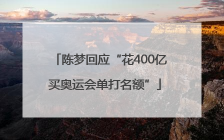 陈梦回应“花400亿买奥运会单打名额”