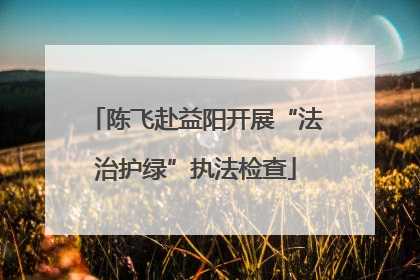 陈飞赴益阳开展“法治护绿”执法检查