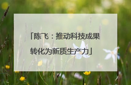陈飞：推动科技成果转化为新质生产力