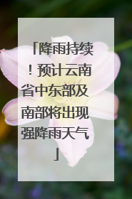 降雨持续！预计云南省中东部及南部将出现强降雨天气