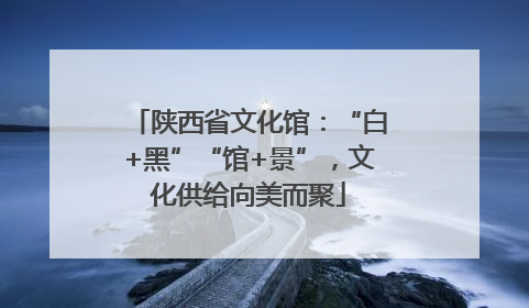陕西省文化馆：“白+黑”“馆+景”，文化供给向美而聚