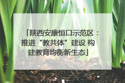 陕西安康恒口示范区：推进“教共体”建设 构建教育均衡新生态