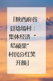 陕西府谷县埝墕村：集体经济“结硕果” 村民分红笑开颜