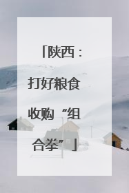 陕西：打好粮食收购“组合拳”