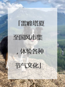 雷峰塔夏至国风市集，体验各种节气文化