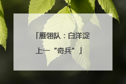 雁翎队：白洋淀上一“奇兵”