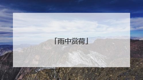 雨中赏荷