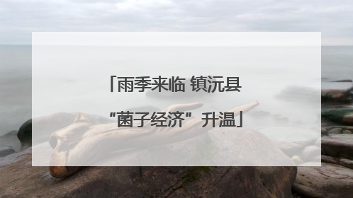 雨季来临 镇沅县“菌子经济”升温
