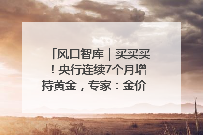 风口智库｜买买买！央行连续7个月增持黄金，专家：金价或仍易涨难跌
