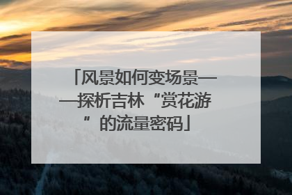 风景如何变场景——探析吉林“赏花游”的流量密码