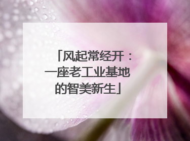 风起常经开：一座老工业基地的智美新生