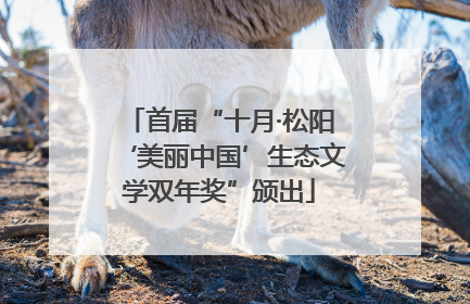 首届“十月·松阳‘美丽中国’生态文学双年奖”颁出