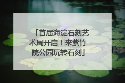 首届海淀石刻艺术周开启！来紫竹院公园玩转石刻