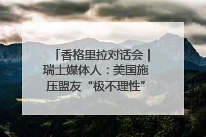 香格里拉对话会｜瑞士媒体人：美国施压盟友“极不理性” 欧洲国家无意与中国“脱钩断链”