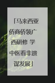 马来西亚侨商侨领广西研修 学中医看非遗谋发展