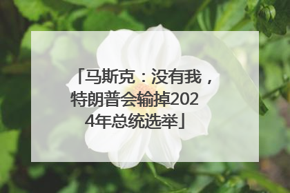 马斯克：没有我，特朗普会输掉2024年总统选举