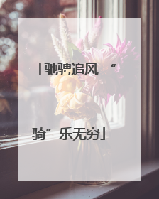 驰骋追风 “骑”乐无穷