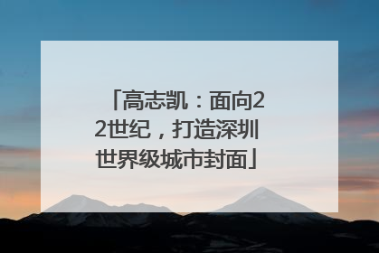 高志凯：面向22世纪，打造深圳世界级城市封面