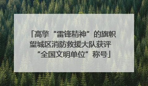 高擎“雷锋精神”的旗帜 望城区消防救援大队获评“全国文明单位”称号