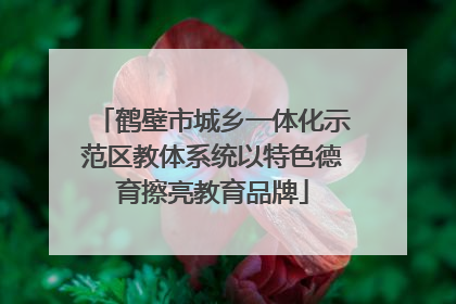 鹤壁市城乡一体化示范区教体系统以特色德育擦亮教育品牌