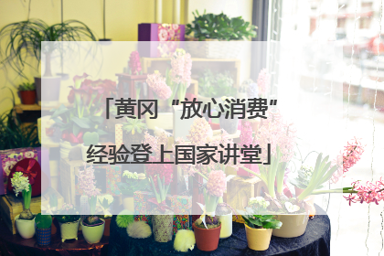 黄冈“放心消费”经验登上国家讲堂