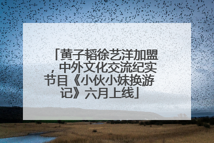 黄子韬徐艺洋加盟，中外文化交流纪实节目《小伙小妹换游记》六月上线