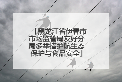 黑龙江省伊春市市场监管局友好分局多举措护航生态保护与食品安全