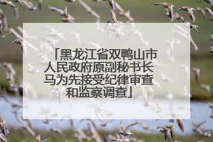 黑龙江省双鸭山市人民政府原副秘书长马为先接受纪律审查和监察调查